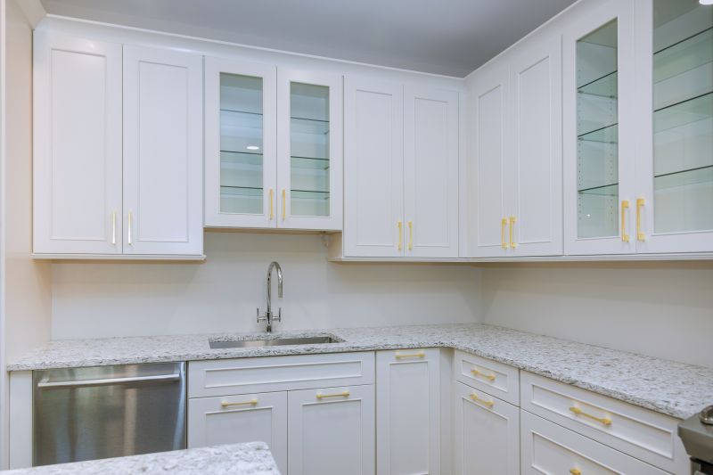 Kitchen Storage Replacement in Carmel, IN